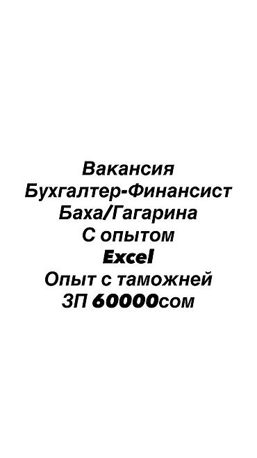 Бухгалтер. Рабочий Городок