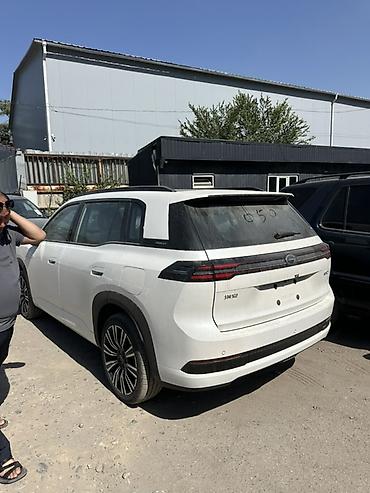 geeli coolray: AION LX Plus, электрический кроссовер (белый цвет, 5 дверей) Кузов и — 3