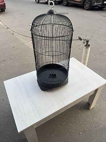 sultan tutuquşusu: Qara metal quş qəfəsi - Material: möhkəm metal, toz boya örtüklü - — 1