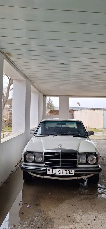 Mercedes-Benz: Mercedes-Benz 250: 2.5 l | 1981 il Sedan — 3