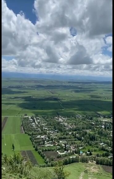 поле чудес: 100 соток, Для бизнеса, Генеральная доверенность