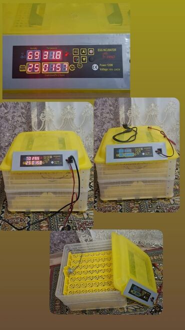 Daewoo: Inkubator 220azn. 112yumurtalıq, avtomatik 2 saatdan bir yumurtaları