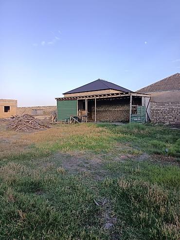 saray torpag: Satılır: həyətyanı sahə ilə yarımçıq tikililər - Geniş və düz — 3