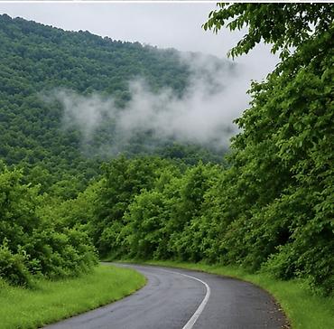 cilə dağı: Qebelenin vendam kendi 60 sot torpaq sahesi satilir duz yol qiragi — 2