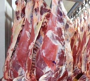 Колбасный цех, Частное лицо : Коровы, быки, Лошади, кони, | Забитый, Круглосуточно, На забой, на мясо — 4