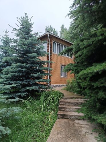 тянь шань 5: Отдых в горах от городской суеты! Насладитесь прохладным горным