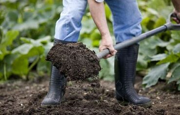 чистка огорода: Копаю огород бороню(греблю) уборка территорий быстро качественно