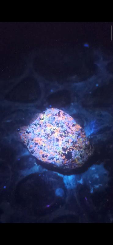 su altı ov: Qeyri-adi Fluoresanlı Nadir Kolleksiya daşı 💎 ✨ Satışda olan bu — 1
