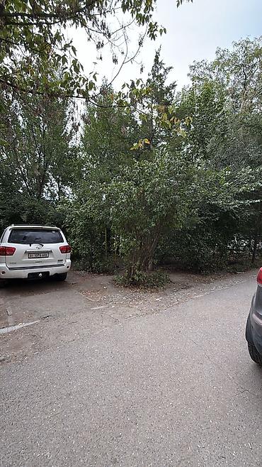 кольбаев: 3 комнаты, 58 м², 104 серия, 1 этаж — 8