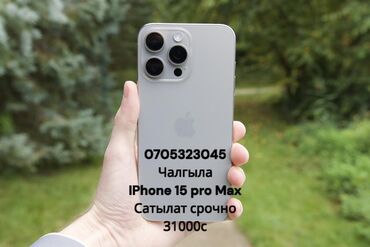 Apple iPhone: IPhone 15 Pro Max, Серебристый