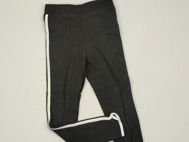 czarne body 56: Spodnie dresowe, Coccodrillo, 5-6 lat, 116, stan - Dobry
