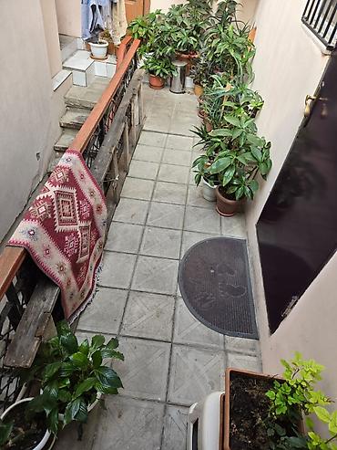 Həyət evləri və villalar: 3 otaqlı, 65 kv. m, Yeni təmirli — 1