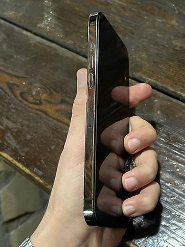 Apple iPhone: IPhone 12 Pro Max, 256 GB, Graphite — 2