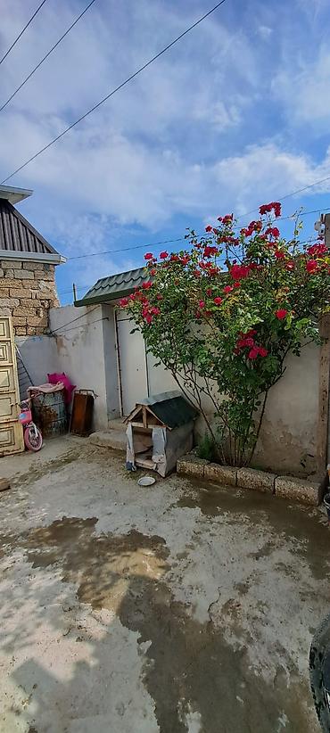 Həyət evləri və villalar: Satılır: EV QALA XAŞAXUNA BAĞLARDADI REYAL ALAN NARAHAT ELƏSİN 216 — 2