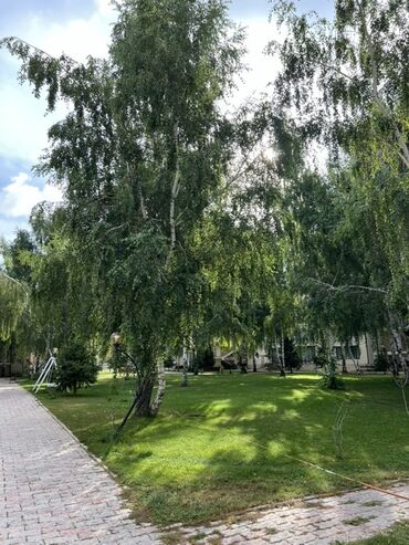 Иссык-Куль 2025: Квартира, ЦО Asia Palace, Сары-Ой, Футбольное поле, SPA, Барбекю — 4