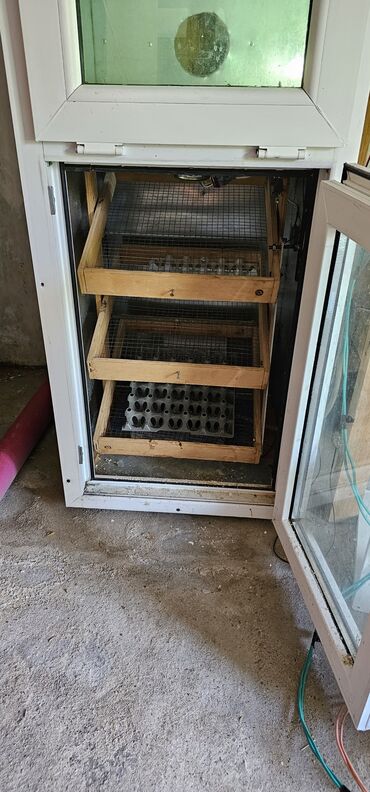tap az inkubator: 300 yumurta, Azərbaycan, Bütün növ quşlaq üçün