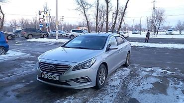 корс: Hyundai Sonata: 2019 г., 2 л, Автомат, Газ, Седан — 1