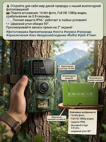 Откройте для себя мир дикой природы с нашей всепогодной фотоловушкой!