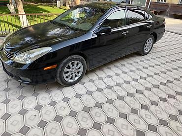 королла 1 6: Lexus ES: 2003 г., 3.3 л, Автомат, Седан — 4