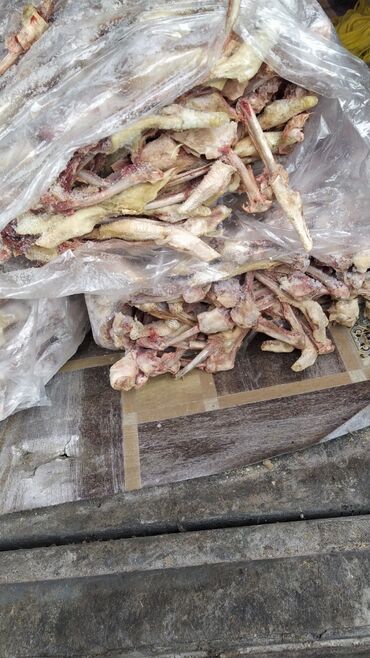 куриная печень: Продаю куриные трубчатые кости опт по 15 сом за кг, костный фарш