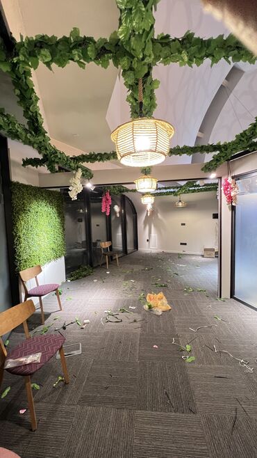 Digər ev dekoru: 6 man baslayan qiymetler — 3