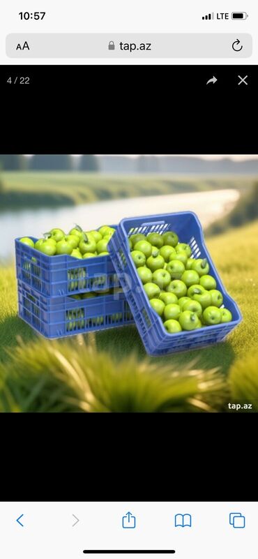 Digər mağaza avadanlığı: Plastik yeşik(tara,sebet,yesik,qutu) istehsalı. ölçülər 60/40/10sm — 22