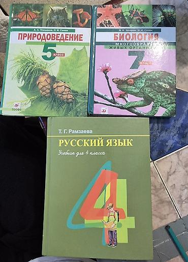 Учебник, 4 класс, русский язык Т. Г. Рамзаева. Состояние нового. 250