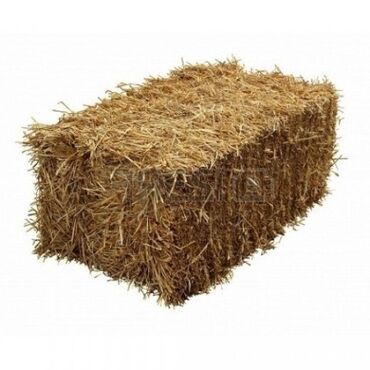 корм бройлера: Продаю сено в тюках с поля самовывоз город Каракол (эспарцет)