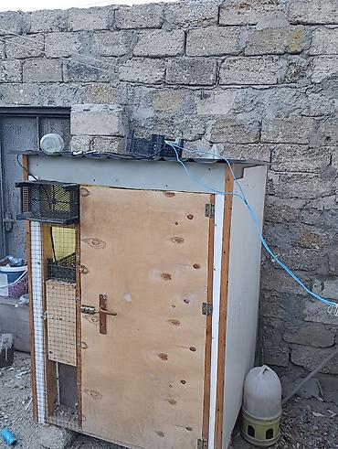 qus yuvasi duzeltmek: Quşxana/kümes satılır - Material: taxta karkas, ön tərəf kontrplak — 4