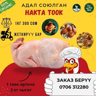 тамак ысыткыч: Бройлер :, 2 кг, Акысыз жеткирүү