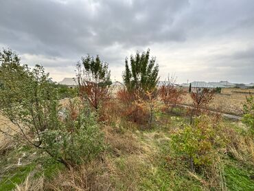 Həyət evləri və villaların satışı: Parnoyuna kimi var riyal alıcı elaqe saxlasın gülüstanda gülbağında dı — 11