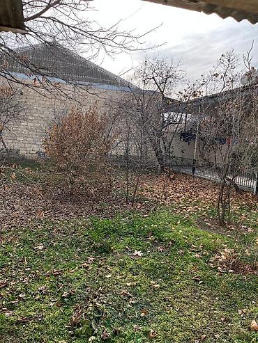sahe: 2 sot, Tikinti, Mülkiyyətçi, Kupça (Çıxarış) — 2