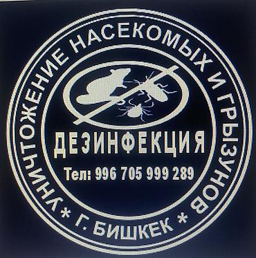 окуя тошок: Дезинфекциялоо, дезинсекциялоо, | Таракандар, Вирустар, микробдор, Кумурскалар, | Батирлер, Подъезддер, Үйлөр — 1