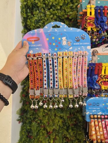 Xaltalar, qayışlar və tasmalar: Pişik və mini itlər üçün boyunbağılar. Taksilə çatdırılma xidmətimiz — 23