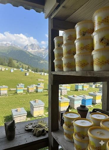 Мёд: Эспарцетовый мёд (белый крем-мёд), Ат-Башы Натуральный эспарцетовый — 7