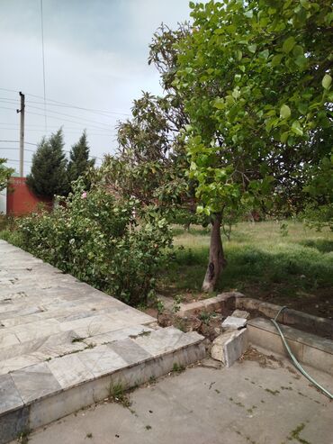 Torpaq sahələrinin satışı: 3 sot, Tikinti, Makler, Kupça (Çıxarış), Texniki pasport