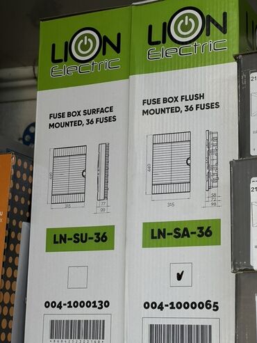 с уездом: Электрдик панелдер, Lion Electric
