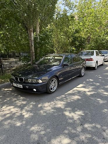 BMW: BMW 525: 2002 г., 2.5 л, Автомат, Газ, Седан — 4