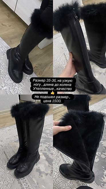 на сапог: Сапоги, 35, 35.5, 36, Новый, цвет - Черный — 1