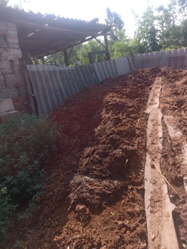 купить кровать бу кривой рог: Бесплатно.новос