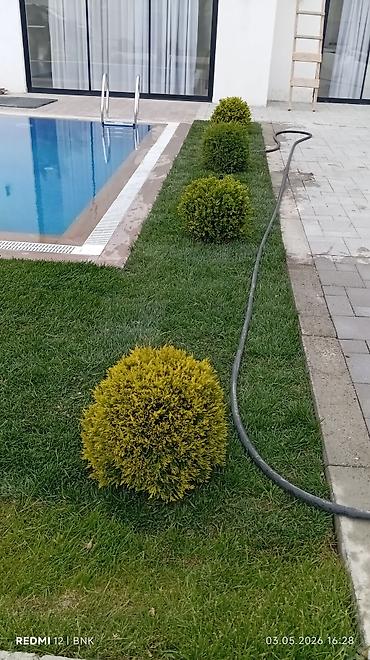 landşaft dizayn: 🌿🔥 HƏYƏTİNİZİ YAŞILLAŞDIRMAĞIN ƏN SÜRƏTLİ YOLU! 🌱 Rulon qazon – təbii — 4