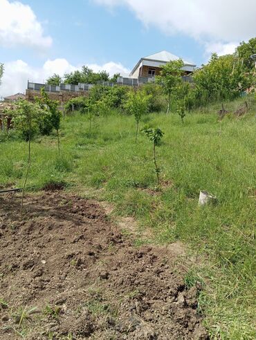 Həyət evləri və villaların satışı: 4 otaqlı, 8 kv. m, Orta təmir — 15