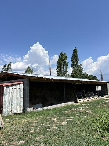 садовый дом: Продаётся дом с большим участком и хозяйственными постройками в городе — 1