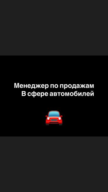 работа бишкекте: Талап кылынат Сатуу боюнча менеджер, Иш тартиби: Беш күндүк, Кечки жумуш, Карьера жактан көтөрүлүү
