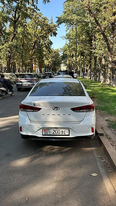 chevrolet aveo: Hyundai Sonata: 2020 г., 2 л, Автомат, Газ, Седан — 7