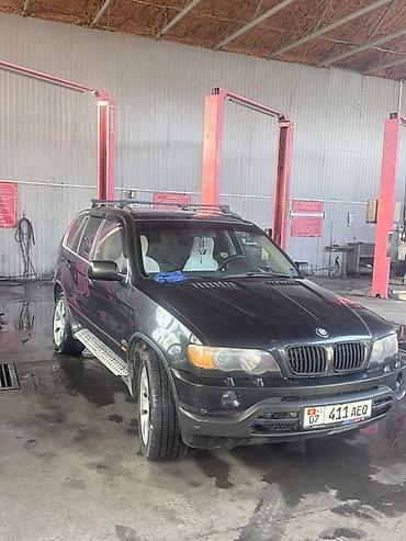 bmv x5 2001: BMW X5: 2001 г., 4.4 л, Автомат, Бензин, Кроссовер — 2