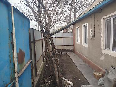 ик дом: Продается частный дом с участком и въездом через распашные — 2