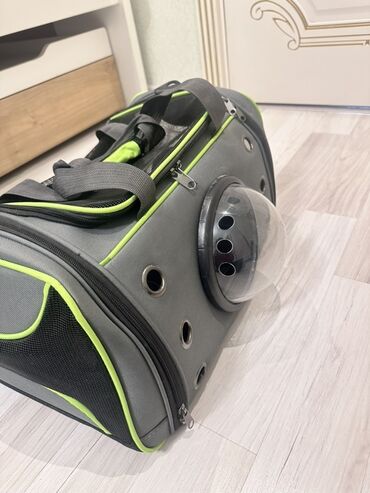 отдам даром кота: Heyvan daşıma çantası- it ve piwikler ucun boyuk canta 2 defe istifade