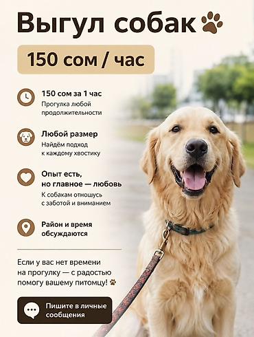 Выгуляю вашу собаку - Стоимость: 150 сом/час - Продолжительность at lalafo.kg Выгуляю вашу собаку - Стоимость: 150 сом/час - Продолжительность