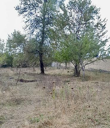 cepis satisi: 26 sot, Biznes üçün, Mülkiyyətçi, Kupça (Çıxarış) — 2